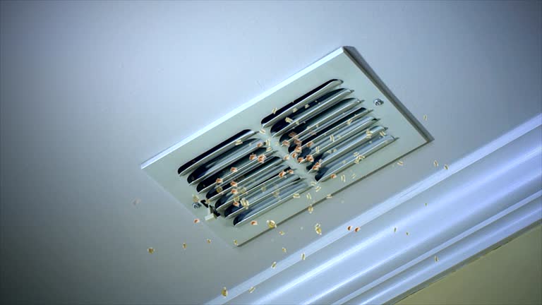 Best Home Air Vent Cleaning  in Beaver Dam, AZ