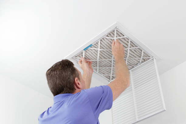 Best Local Air Duct Cleaning Services  in Beaver Dam, AZ